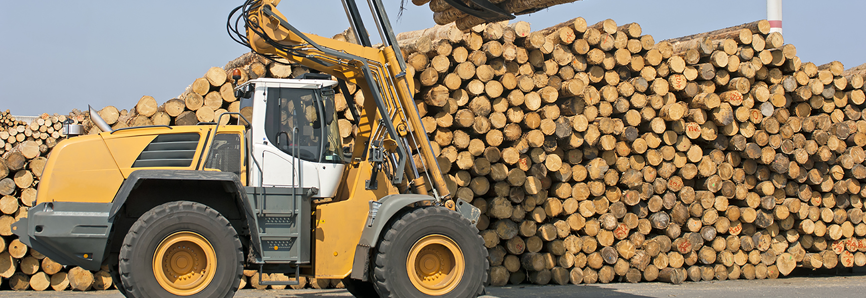 Logging machine in front of log pile