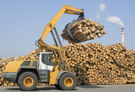 Logging machine in front of log pile