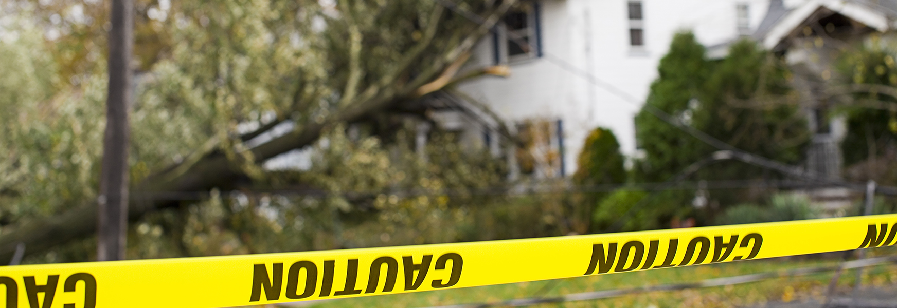 Caution tape in front of downed tree and power lines