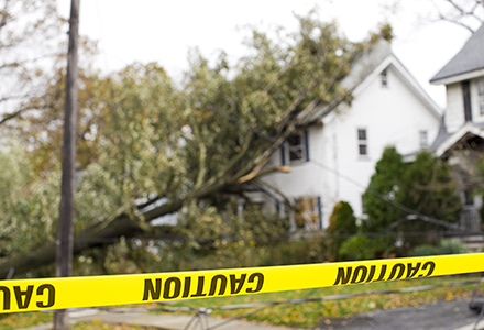 Caution tape in front of downed tree and power lines