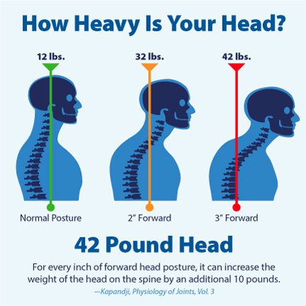 How Heavy is Your Head?