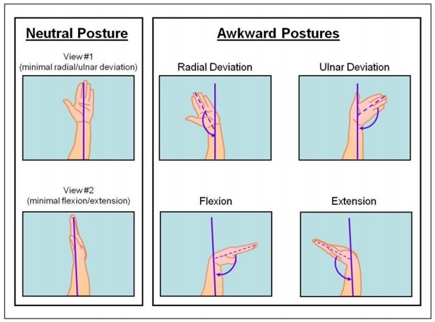 Graphic image showing hand postures. 