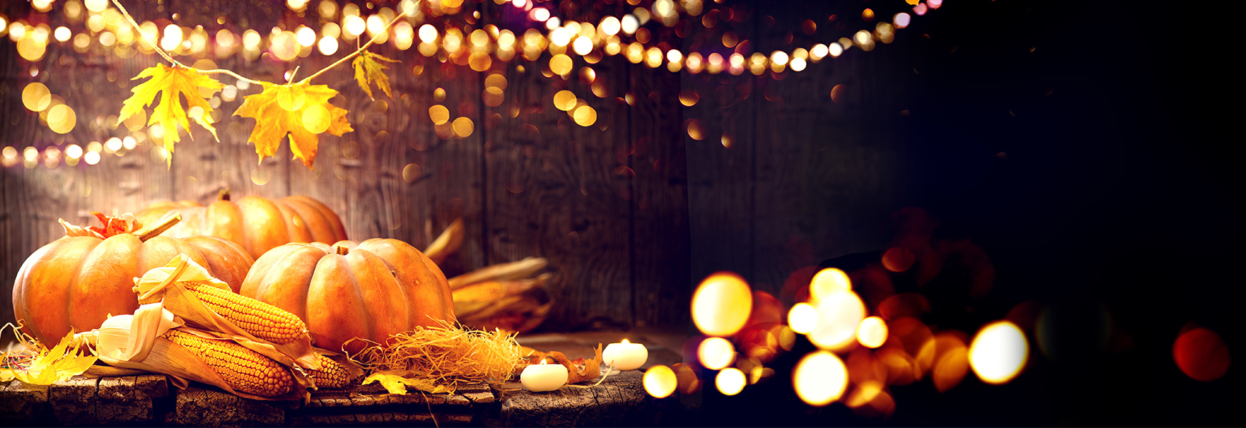 Pumpkins, corn, and leaves on display in front of a wooden background with decorative lights