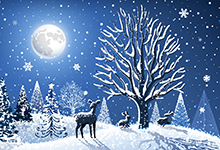 Woodland scene with midnight blue sky and full moon