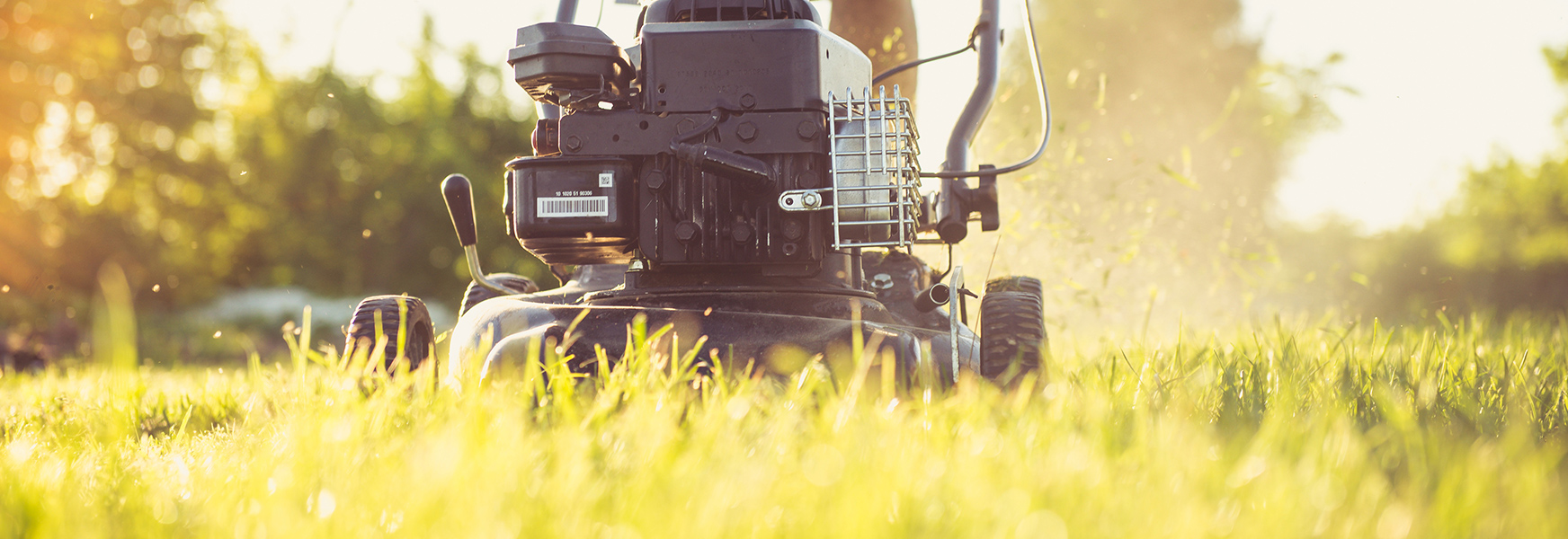 Young worker's first job mowing lawns