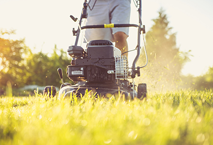 Young worker's first job mowing lawns