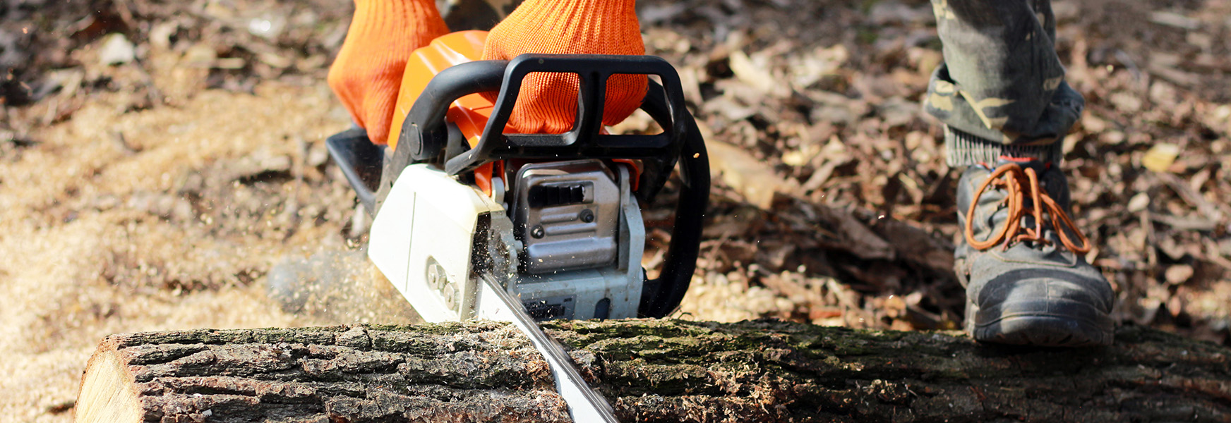 Logger wearing PPE using chainsaw in the woods