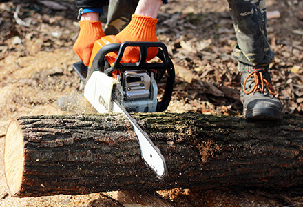 Logger wearing PPE using chainsaw in the woods