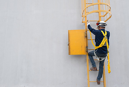 Worker wearing fall harness climbing a ladder