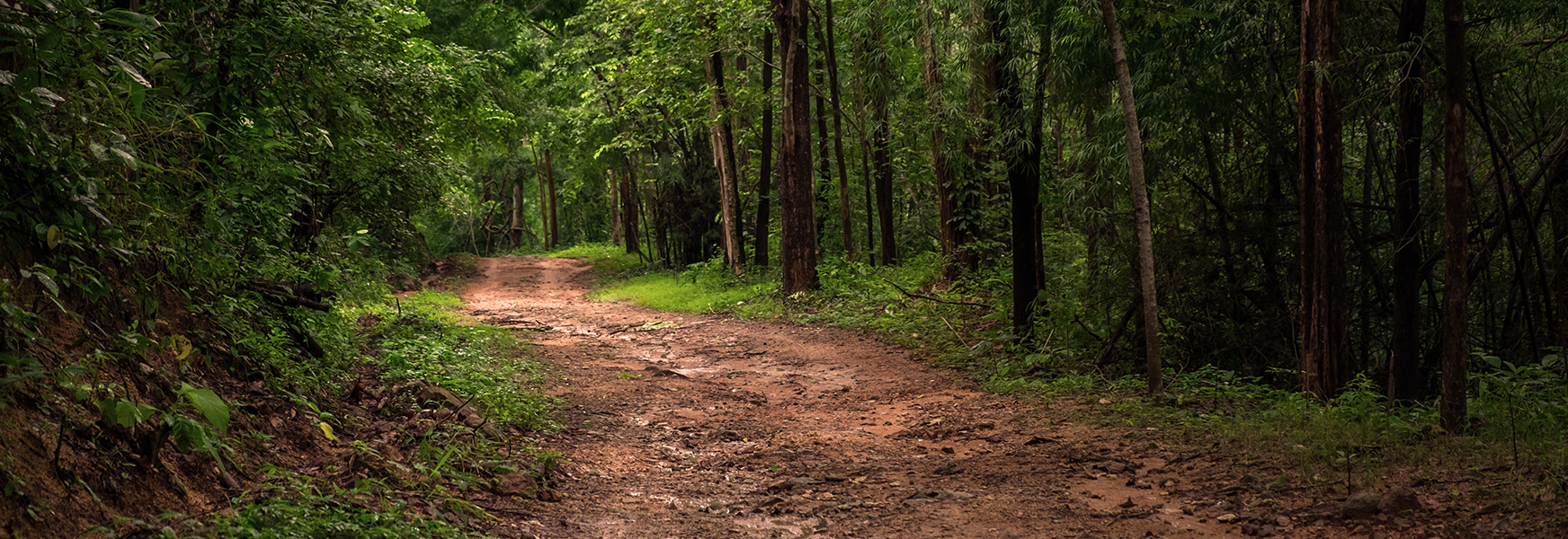 Muddy roads after rainy day