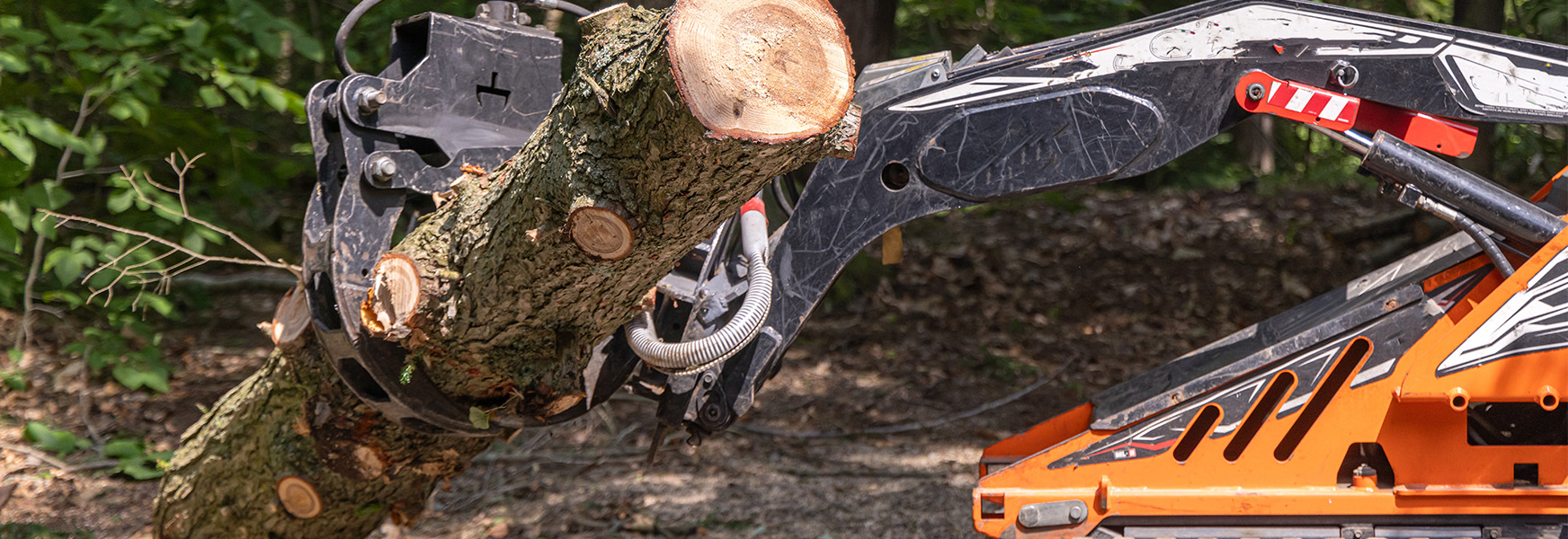 Moving heavy tree section with mini skid steer loader