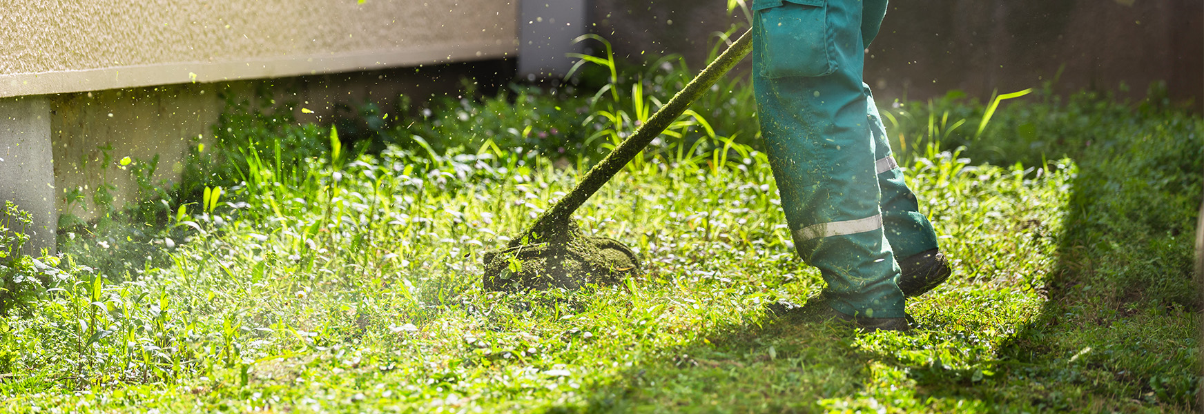 Landscaper weedwhacking in summer