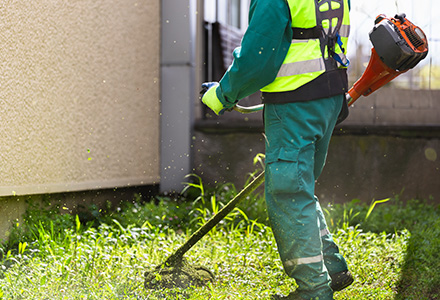 Landscaper weedwhacking in summer