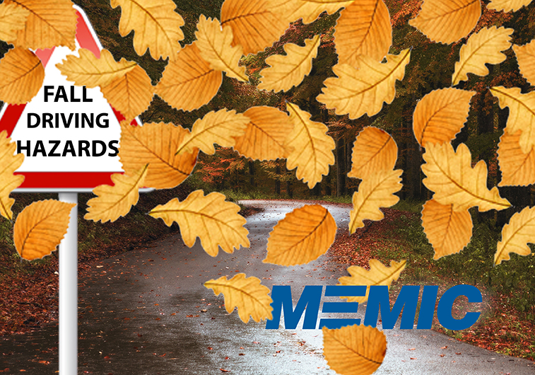 Beware of fall driving hazards.