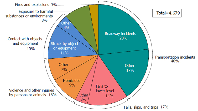Pie chart showing cause of fatalities.