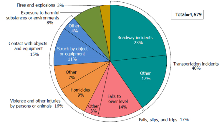 Fall Protection and Prevention; What You Need to Know