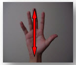 Hand size.