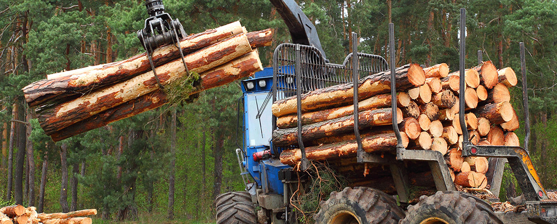 logs mechanically being moved