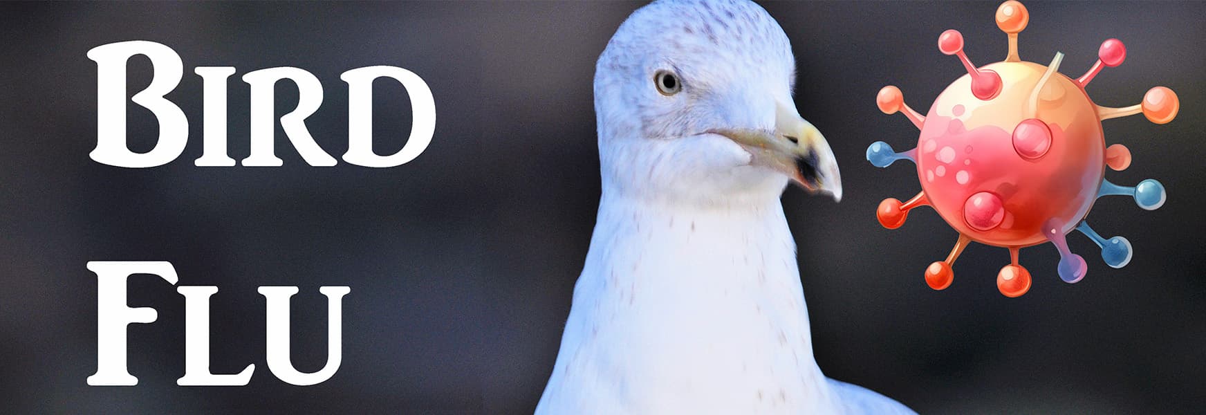 Staying Safe from Bird Flu: Tips for Outdoor Work and Recreation