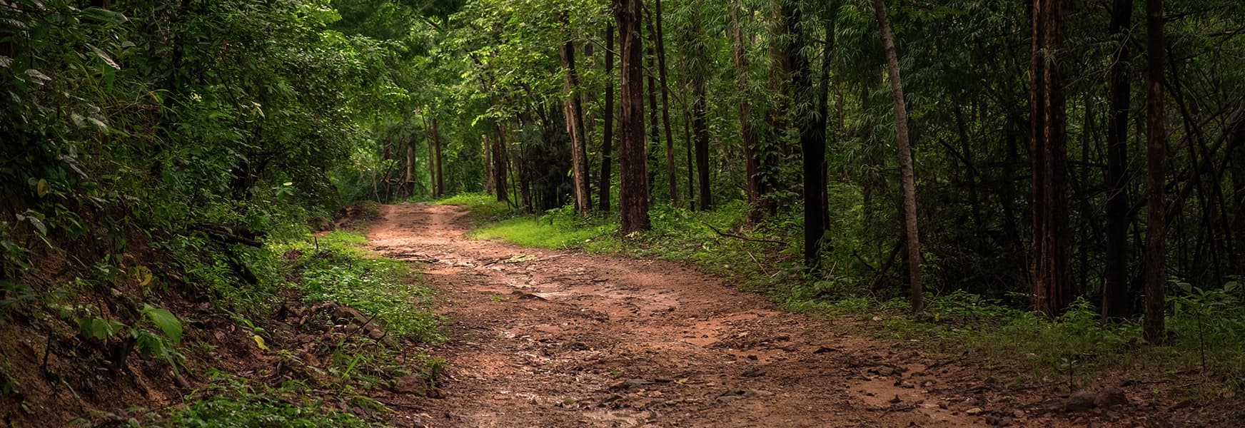 Unearthing the Challenges of Mud