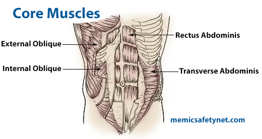 Diagram showing core muscles of the human body.